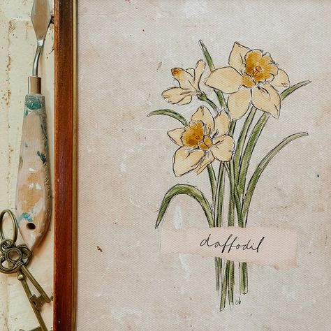 There’s not much better than the sighting of the first daffodil opening up! I look forward to their emerging every year, as they seem to get excited and open themselves up long before their other flowery friends! We are ready for you daffodils! 💛 Watercolor Dafodill, Daffodil Drawing Watercolors, Drawing Of Daffodils, Daffodil Flower Painting, Simple Daffodil Drawing, How To Draw Daffodils, Daffodil Watercolor Painting, Dafodill Flowers Drawing, Drawing Daffodils