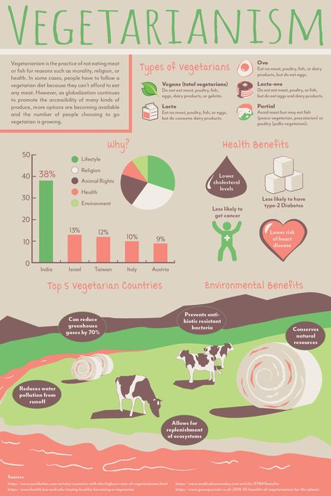 Narrative Design, Information Visualization, Vegetarian Lifestyle, Information Design, Vegetarian Diet, Vegan Food, Infographic Design, Vegan Recipes, Meat