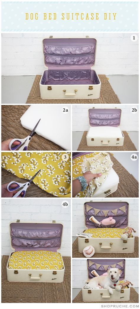 Dog Bed Suitcase DIY Suitcase Dog Bed, Suitcase Diy, Suitcase Ideas, Infant Photos, Diy Cat Bed, Kat Diy, Diy Suitcase, Diy Pet Bed, Upcycle Vintage