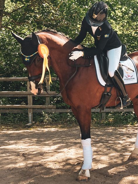 #dressage #dressagehorse #samshield #cavalleriatoscana #horse #horses Horse Riding Dressage, Horse Show Aesthetic, Dressage Aesthetic, English Horse Riding, Horse Girl Aesthetic, Dressage Competition, Horse Riding Aesthetic, Horse Competition, Equestrian Dressage