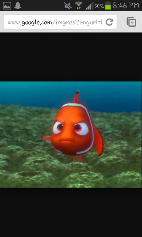 Nemo.... Woke up on the wrong side of bed He Touched The But Finding Nemo, The Fish From Nemo, Nemo Just Keep Swimming, Finding Nemo 2003, Finding Nemo Meme, Wake Up, Fish Pet, Fish, Animals