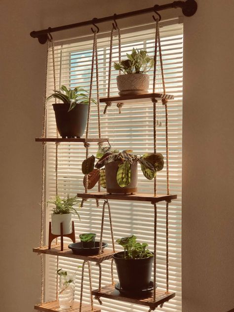 Window Shelf For Plants, Window Plants, Hanging Plants Indoor, Balcony Ideas Apartment, Organized Living, Plant Decor Indoor, House Plants Decor, Ideas Living Room, Apartment Decor Inspiration