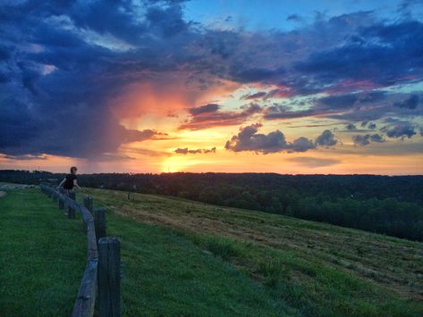 Wake Forest, North Carolina Sunset North Carolina Sunset, Wake Forest North Carolina, Wake Forest, North Carolina, Nature Photography, Country Roads, Forest, Celestial Bodies, Natural Landmarks