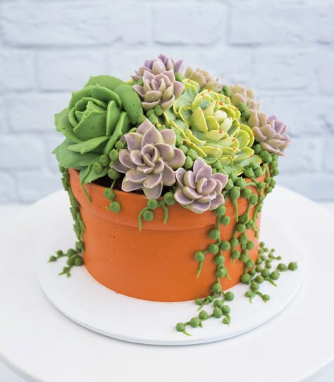 Chocolate Cake Coffee, Botanical Cake, Flower Pot Cake, Nature Cake, Succulent Cupcakes, 17 Birthday Cake, Succulent Cake, Pot Cakes, Coffee Buttercream