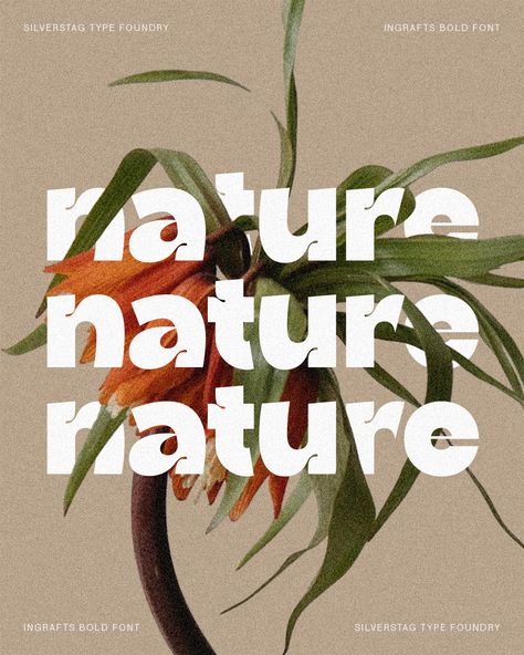 Friday feels: Finding tranquility in nature's details, much like the delicate lines of Ingrafts Bold. Wishing you a weekend filled with simple pleasures. 🌿 🔺 Font: Ingrafts - Bold & Funky Font #FontFriday #NatureInspired #Typography #IngraftsBold #SilverstagTypeFoundry #SerifFont #WeekendMood #DesignDetails #MinimalistType #NaturePhotography Organic Typography Design, Nature Typography Design, Natural Fonts, Organic Fonts, Natural Typography, Eco Font, Organic Typography, Organic Font, Organic Branding Design