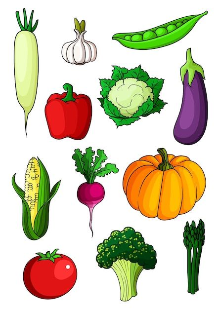 Vegetable Pictures Image, Picture Of Healthy Food, Vegetable Clipart Free Printable, Free Printable Vegetable Pictures, Vegetables Cartoon Drawing, Healthy Foods Pictures, Vegetables Cartoon Images, Healthy Food Drawing Art, Printable Vegetable Pictures