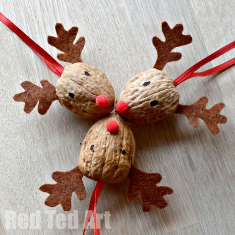 Some of you may know that I love crafting with Walnuts. Like Horse Chestnuts, I have strong childhood memories of Autumn and Winter Crafts involving both Chestnuts and Walnuts. So both these items, though not necessarily common to others are items that I love crafting with, with my kids. Each year, I try and come … Walnut Crafts, Unusual Christmas Ornaments, Reindeer Ornament, Christmas Crafting, Reindeer Ornaments, Christmas Decorations Rustic, Noel Christmas, Kid Crafts, Ornament Crafts