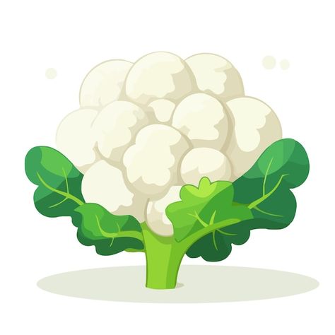 Cauliflower Illustration, Cauliflower Drawing, Cute Image, Alphabet Activities, Cartoon Images, Cute Images, Package Design, Flower Drawing, Coloring Pages For Kids