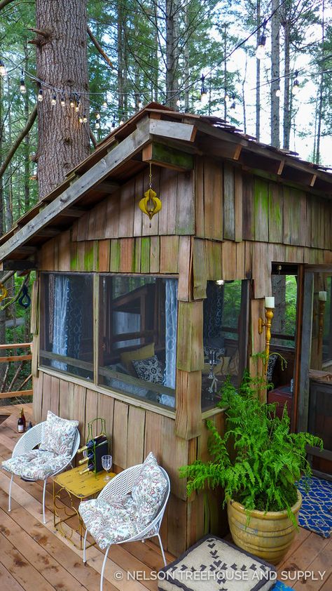 Custom Treehouse, Nelson Family, Treehouse Masters, Small Tiny House, Shed To Tiny House, Tiny House Trailer, House Shed, Fir Trees, House Architecture