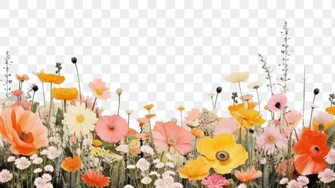 Flower Background Landscape, Flowers Png Hd, Png Nature, Border Flowers, Cool Live Wallpapers, Hd Landscape, Banner Clip Art, Organic Logo Design, Forest Drawing