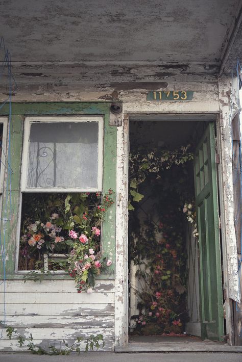 A Flower Farm Blooms From An Abandoned House In Detroit Sol Aesthetic, Southern Gothic Aesthetic, Abandoned Detroit, Abandoned House, American Gothic, Southern Gothic, Abandoned Mansions, Gothic Aesthetic, Abandoned Buildings