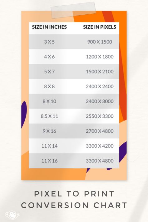 Figuring out how many pixels are in an inch can feel a lot like figuring out how many jelly beans are in a jar. If you need a specific size for your printable (like the perfect wallet size photo dimensions) get rid of the guesswork with our handy pixels to inches chart, which provides suggested image sizes in pixels for common photo sizes in inches. Go Ape, Stop Stressing, Photo Sizes, Swipe File, What Am I Doing, Baby Swag, Photo Dimensions, Social Media Images, Photography 101