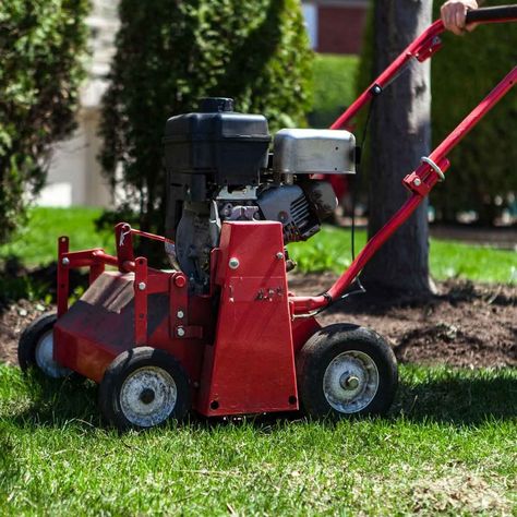 Lawn Aerator Buying Guide Lawn Aerators, Under Deck Roofing, Under Deck Drainage System, Deck Ceiling, Under Deck Ceiling, Rock Water Fountain, Under Deck Drainage, Patio Under Decks, Plastic Roofing