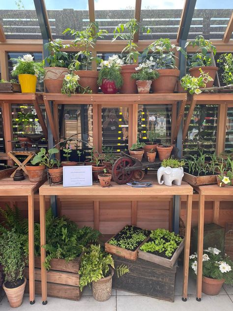 Gabriel Ash Greenhouses at RHS Chelsea Flower Show 2023 featuring seed trays, shelving and staging accessories. Greenhouse Staging, Greenhouse Heaters, Rhs Chelsea Flower Show, Cedar Planters, Gutter Guard, Wooden Greenhouses, Chelsea Flower, Chelsea Flower Show, Western Red Cedar