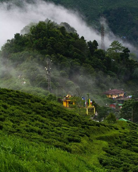 Darjeeling tea from India 📍 Darjeeling, India 🇮🇳 ⭐️ 4.6 💯 #1 best-rated tea in the world according to www.tasteatlas.com/darjeeling The best tea in the world was named after the Indian city of Darjeeling, the center of Bengali tea cultivation and once the starting point of a caravan route to Tibet. The incomparable quality of Darjeeling Teas is the result of its locational climate (average annual rainfall - 3092 mm!), soil conditions, altitude, and meticulous processing. About 40.000 t West Bengal Aesthetic, Avengers Movie Posters, Indian City, Avengers Movie, Darjeeling Tea, Tea Farm, 3 Coffee, Ooty, Building Art