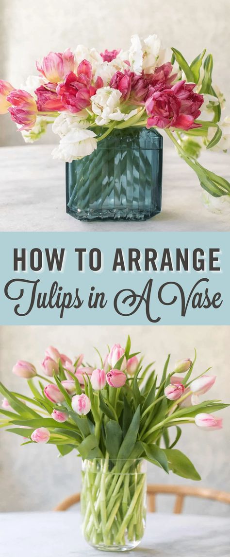 Everything you need to know about arranging tulips in a vase. The quintessential flowers of spring, tulips have a way of dazzling the eye and brightening any space with their cheerful good looks. They are simple to arrange and require zero floral skills! #Tulips #Flowers #HowtoArrangeTulips Tulips In A Vase, Edible Flower Garden, Red Flower Arrangements, Long Lasting Flowers, Tulip Centerpiece, Fresh Tulips, Planting Tulips, Tulips Arrangement, Clear Vase