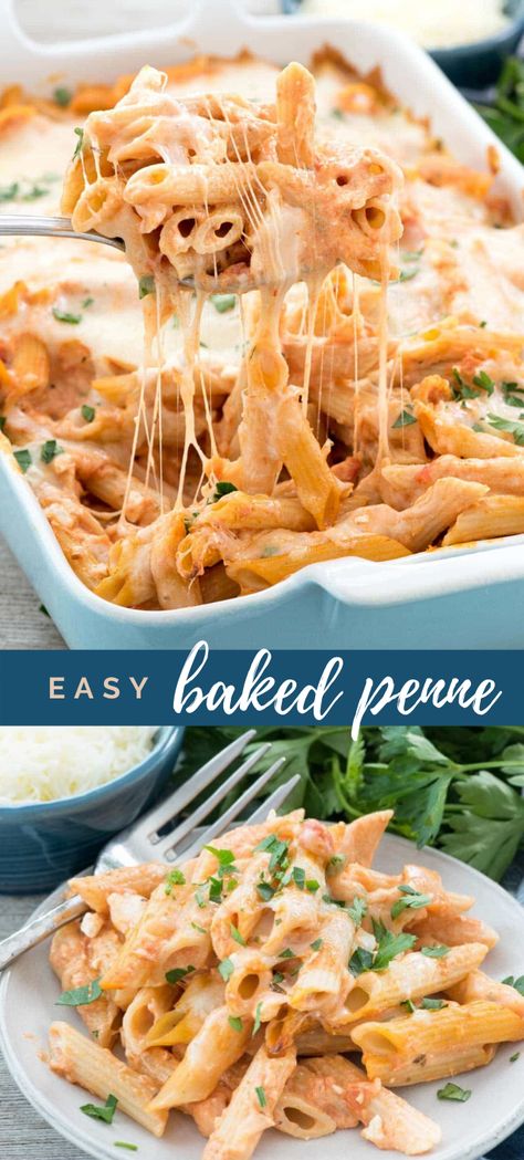 Easy Baked Penne - this easy pasta casserole is FULL of cheese! It's accidentally vegetarian and no one will know it's semi-homemade! Pasta Bake With Cottage Cheese, Easy Pasta Casserole, Penne Recipes, Baked Penne, Semi Homemade, Pasta Casserole, Easy Cheap, Penne Pasta, Pasta Bake