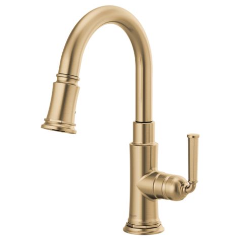 The Rook® Collection by Brizo exudes stately elegance at every turn. Its classic craftsman style is reminiscent of an early 20th century aesthetic; while contemporary, feminine touches elevate and modernize the look. 20th Century Aesthetic, Faucets Kitchen, Kitchen Plumbing, Bar Faucet, Bar Faucets, Single Handle Kitchen Faucet, Prep Kitchen, Kitchen Hardware, Custom Shower