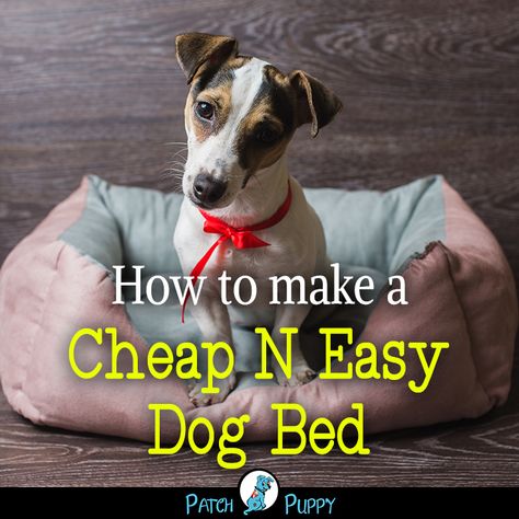 Dog Lovers- How to make a Cheap N Easy Dog Bed Free Dog Bed Pattern, Diy Dog Bed For Small Dogs Easy, Homemade Dog Beds For Large Dogs Diy, Diy Dog Beds For Large Dogs Easy Ideas, Dog Bed Patterns Free, How To Make A Dog Bed, Diy Puppy Bed, Diy Dog Beds For Small Dogs, Make Dog Bed