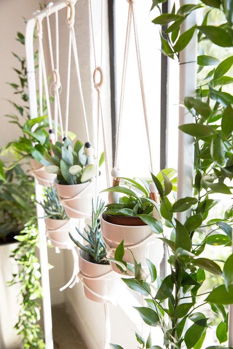 Vertikal Garden, Zimmer Diy, Diy Clothes Rack, Support Pour Plante, Diy Plant Hanger, Indoor Gardens, 100 Layer Cake, Natural Diy, Diy Hanging