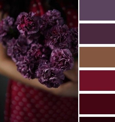 Plum Color Pallette, Wine Colored Dining Room, Red Plum Color Palette, Burgundy And Purple Color Palette, Wine And Plum Wedding Colors, Eggplant Colour Palette, Blackberry Color Palette, Plum Colour Palette, Red Purple Color Palette