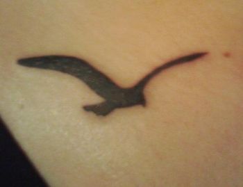 Seagull Tattoo Sea Gull Tattoo, Pelican Tattoo, Geese Breeds, Seagull Tattoo, Goose Tattoo, Be A Warrior, Stay True To Yourself, Small Tattoos With Meaning, Tattoo Now