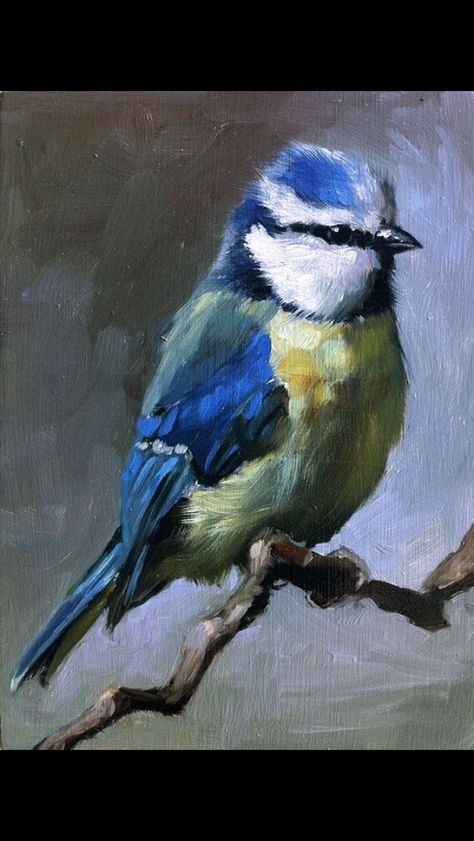 Bird Sitting On A Branch, Illustration Kunst, Bird Sitting, Arte Animal, Art And Illustration, Wildlife Art, Birds Painting, Art Oil, Pencil Art