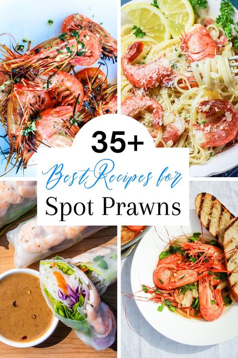 35+ Best Spot Prawn Recipes For Whole Prawns Or Tails - West Coast Kitchen Garden Whole Prawn Recipes, Spot Prawns Recipes, Spot Prawn Recipe, Rhubarb Oatmeal Muffins, West Coast Kitchen, Easy Prawn Recipes, Fresh Prawns, Rhubarb Oatmeal, Spot Prawns