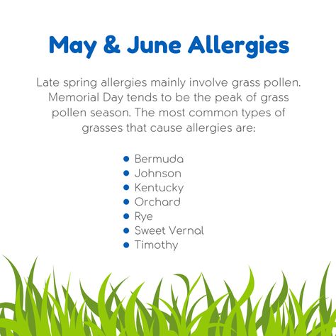 Grasses are one of the most common causes of allergy. People with grass allergies have symptoms that include: Runny nose Sneezing Itchy nose, ears, eyes, and mouth Stuffy nose Red and watery eyes Swelling around the eyes There are hundreds of types of grasses but only a few are responsible for allergy symptoms and where you live may determine which grasses could be responsible for the symptoms. Grass Allergy, Itchy Nose, Spring Allergies, Types Of Grass, Watery Eyes, Allergy Relief, Stuffy Nose, Allergy Symptoms, Runny Nose