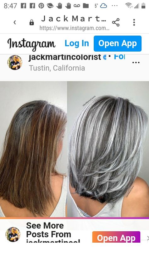 Grey Hair Transformation, Braids For Medium Length Hair, Grey Hair Inspiration, Hair School, Gray Hair Growing Out, Hairstyles For Medium Hair, Beautiful Hair Color, Gray Hair Highlights, Long Gray Hair