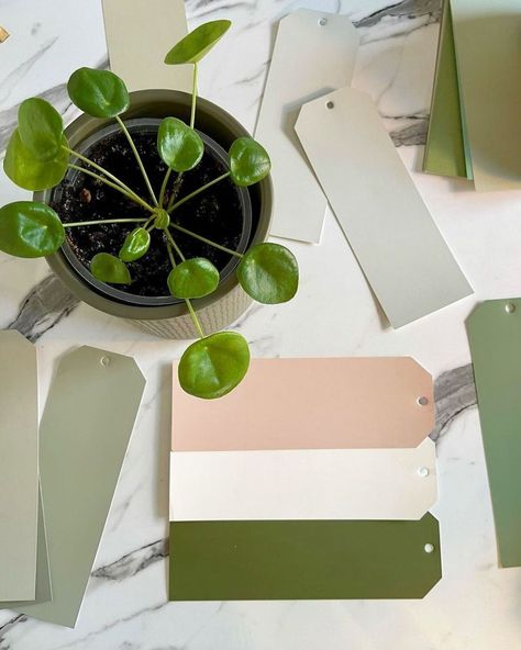 Farrow & Ball on Instagram: “This pink and green scheme must always be seen! Here's one of many ways to use it in your home: 💗 Paint all walls with #SettingPlaster for…” Setting Plaster And Green, Farrow And Ball Bancha Colour Palette, Bancha Farrow And Ball Kitchen, Bancha Farrow And Ball Colour Scheme, Farrow And Ball Bancha Green, Bancha Farrow And Ball, Farrow Ball Bancha, Farrow And Ball Bancha, Farrow Ball Setting Plaster