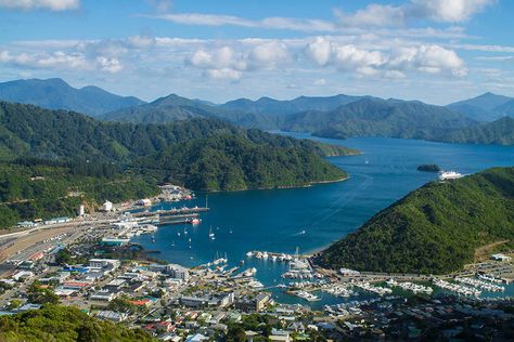 Marlborough Sounds New Zealand, Picton New Zealand, Marlborough Sounds, New Zealand Beach, New Zealand Adventure, Visit New Zealand, Cool Things To Do, New Zealand South Island, Seaside Town