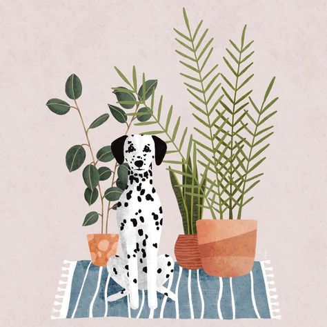 Dalmatian dog portrait in a room with house plants in patterned pots on a rug illustration art🤍 | Flora Gabor | Instagram | Portrait With Plants, Dalmatian Aesthetic, Dot Portrait, Dalmatian Illustration, Dalmatian Painting, Rug Illustration, Dalmatian Art, Office Revamp, Illustration City