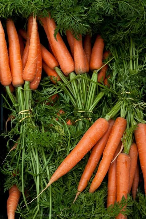 Food Photography Vegetables, Vegetables Photography, Vegetable Pictures, Farmers Market Recipes, Food Art Photography, Farm Food, Heirloom Vegetables, Fruit Photography, Veg Garden