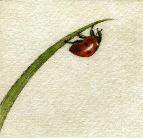 Ladybirds Drawing, Drawings Of Ladybugs, Drawing A Ladybug, Ladybug Watercolor Paintings, Ladybug Drawing Insects, Ladybug Insect Drawing, Ladybugs Drawing, Ladybug Drawing Simple, Ladybird Painting