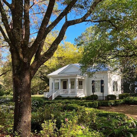 C. Brandon Ingram on Instagram: "Quiet in the landscape… #cottage #smallhouse #architecture #cottage #oakleafcottage #classichouse #southern #classic #tinyhouse" Southern Cottage Core Aesthetic, Single Level Home Exterior, Cove Cottage Southern Living, Old Southern Homes Exterior, Small Southern Homes, Southern Living Small House Plans Cottage Style, Oak Leaf Cottage, Charleston Single House, Tiny House Luxury