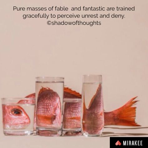 #puremasses #pure #masses #fable #fantastic #percieve #unrest #deny #shadowofthoughts #poetry #quotes #life Glass Photography, Colossal Art, Album Design, Design Milk, Everyday Objects, Life Photography, Still Life Photography, Light And Shadow, Creative Photography