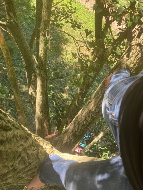 #climbing #tree #outdoor #sunshine Sitting In A Tree Aesthetic, Climbing Trees, Outdoor Climbing Aesthetic, Climbing A Tree, Tree Climbing, Tree Climbing Aesthetic, Climbing Trees Aesthetic, Climbing A Tree Aesthetic, Hugging Tree Aesthetic