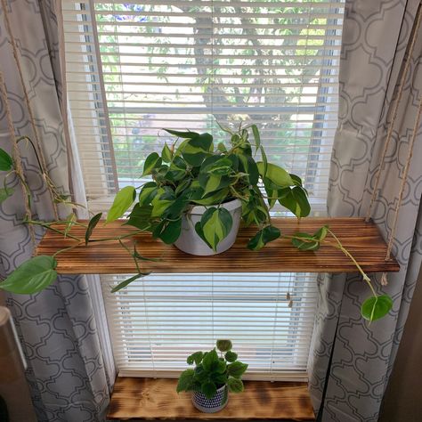 "Hang on the wall or use it as a window shelf to give your plants direct sunlight! These shelf are all hung by natural Jute cord, with a hanging length of about 3 feet. This makes it easy to hang and makes it easily adjustable for your needs. This functional hanging shelf is the prefect addition to any room. All shelves are burnt on both sides and polyurethaned for water resistance and easy clean. Easily hang from a ceiling hook, anchor with screw for wall hanging, or other hanging brackets. (NO Floating Shelf Plant, Window Sill Plants, Window Shelf For Plants, Shelving Decor, Window Plant Shelf, Hanging Rope Shelves, Shelf Window, Rope Shelf, Garden Therapy