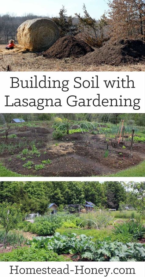 Sheet Mulching, Lasagna Gardening, Organic Vegetable Garden, Gardening 101, Starting A Garden, New Garden, Organic Gardening Tips, Soil Improvement, Gardening Supplies