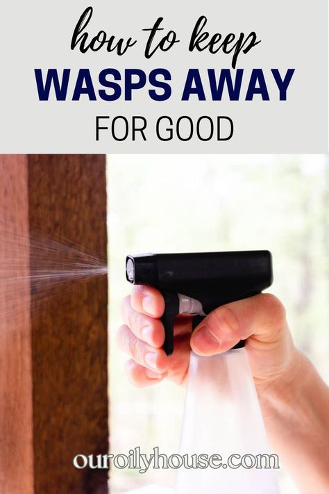 Natural Wasp Repellent, Wasp Deterrent, Bee Spray, Bee Repellent, Wasp Killer, Wasp Spray, Wasp Repellent, Repellent Diy, Get Rid Of Wasps