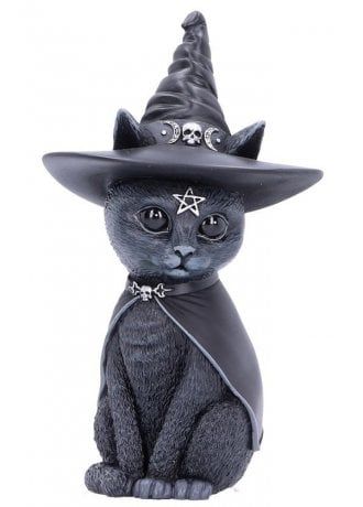 Dekorasi Halloween, Black Cat Decor, Chat Kawaii, Scary Cat, Midnight Rose, Magic Cat, The Mummy, Black Witch, Witch Cat