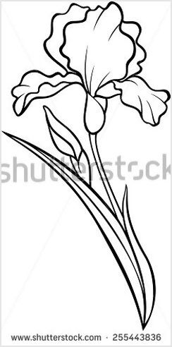 Iris Flowers Drawing Easy, Hur Man Ritar Blommor, Iris Drawing, Vector Tattoo, Iris Painting, Flower Silhouette, Iris Flower, Flower Sketches, Tattoo Illustration