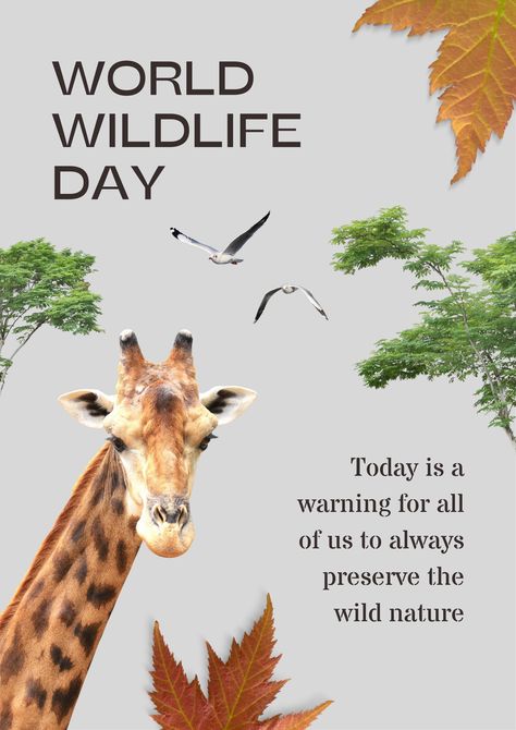 Jiji Background, Wildlife Day Poster, Zoo Advertising, Animal Conservation Poster, Zoo Poster Design Graphics, Wildlife Conservation Poster, World Wildlife Day, Wildlife Day, Zoo Keeper