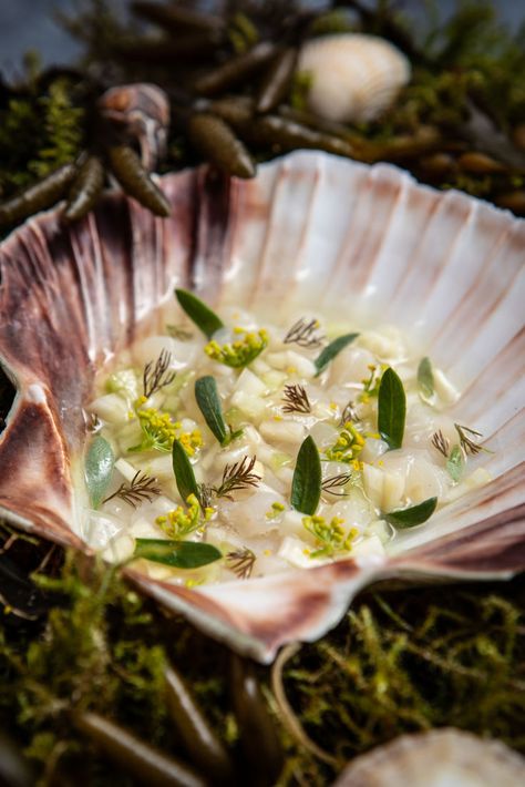 Serving scallops in their raw form is one of the best ways to showcase their incredible natural sweetness. Here, Amy Elles dices scallop and combines it with cucumber and cured fennel to make a tartare, which is presented in the shells alongside a tomato consommé for an elegant but fantastically fresh starter.