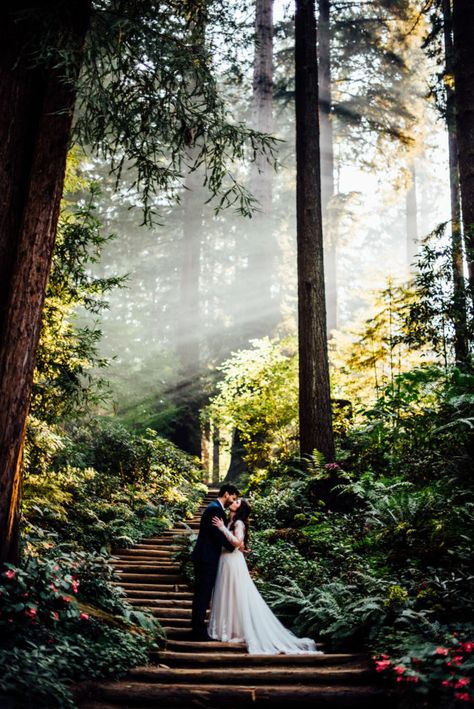 Dream Mountain Wedding, Redwood Wedding Photos, Ferngully Wedding, Redwood Forest Wedding, Woodland Theme Wedding, Forest Weddings, Wyoming Wedding, Wedding Forest, Forest Theme Wedding