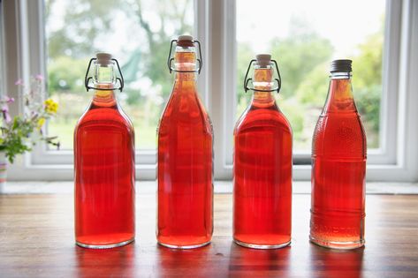 Our old-fashioned muscadine wine recipe takes eight weeks for fermentation and aging; then simply grab a glass and enjoy this wonderful wine. Easy Muscadine Wine Recipe, Muscadine Recipe, Homemade Wine Recipes, Muscadine Wine, Wine Recipe, Wine Magazine, Strawberry Wine, Homemade Wine, Cooking Wine