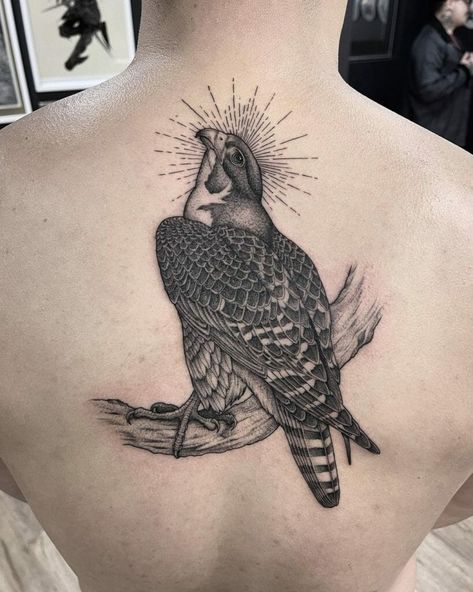 Menacing Tattoo, Atlanta Falcons Tattoo, Peregrine Falcon Tattoo, Falcon Tattoo, Ancient Egyptian Deities, Traditional Sleeve, Peregrine Falcon, Eye Tattoo, Peregrine