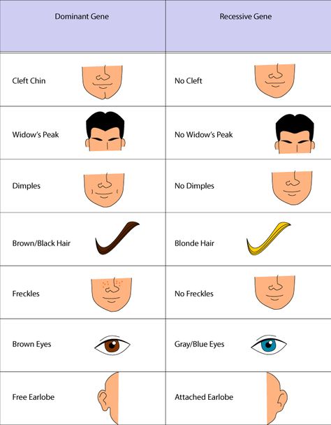 Dominant vs. recessive traits.  (only one gene needed for trait to be expressed = dominant.  Both parents must contribute the gene for a recessive trait to be expressed) Eye Color Chart Genetics, Vetenskapliga Experiment, Punnett Squares, Biology Classroom, High School Biology, 8th Grade Science, Biology Teacher, Biology Lessons, Teaching Biology