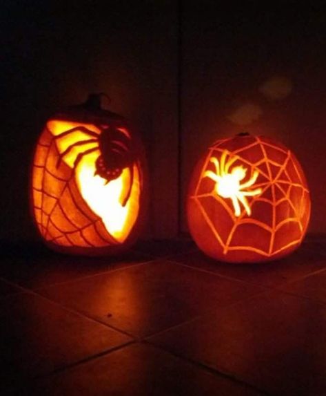 Spider Carved Pumpkin, Pumpkin Carving Ideas Intermediate, Spiderweb Pumpkin Carving, Pumpkin Spider Carving, Spider Pumpkin Carving Ideas, Pumpkin Carving Ideas Spider, Spider Web Pumpkin Carving, Pumpkin Carving Spider, Spider Pumpkin Carving